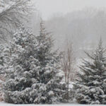 Tormenta de nieve desata caos en el norte de Estados Unidos: millares de viajes suspendidos y ciudades bajo asedio blando