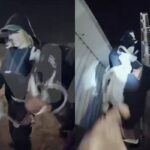 ¿Marketing o vandalismo?: Sydney Sweeney cuelga ropa interior en letrero de Hollywood para promover su nueva marca de lencería