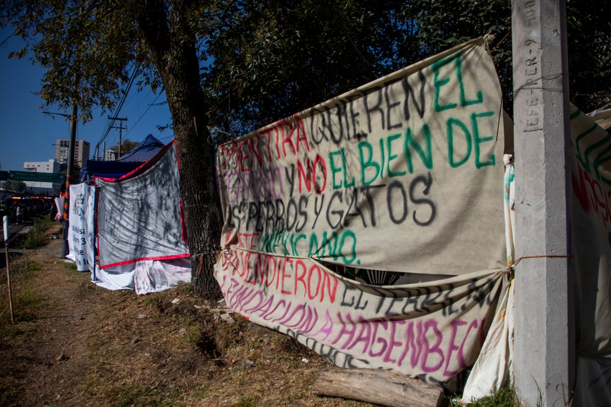 TSJ no logra cumplir con diligencia de entrega de predio y multa a Fundación Haghenbeck