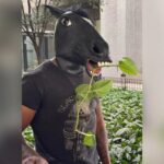 Surgen en México los 'therians'